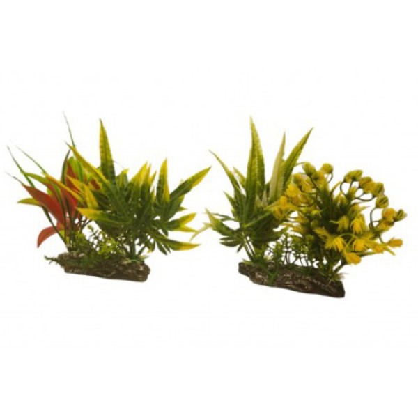 ΔΙΑΚΟΣΜΗΤΙΚΟ ΦΥΤΟ ΕΝΥΔΡΕΙΟΥ 18Χ11.5CM